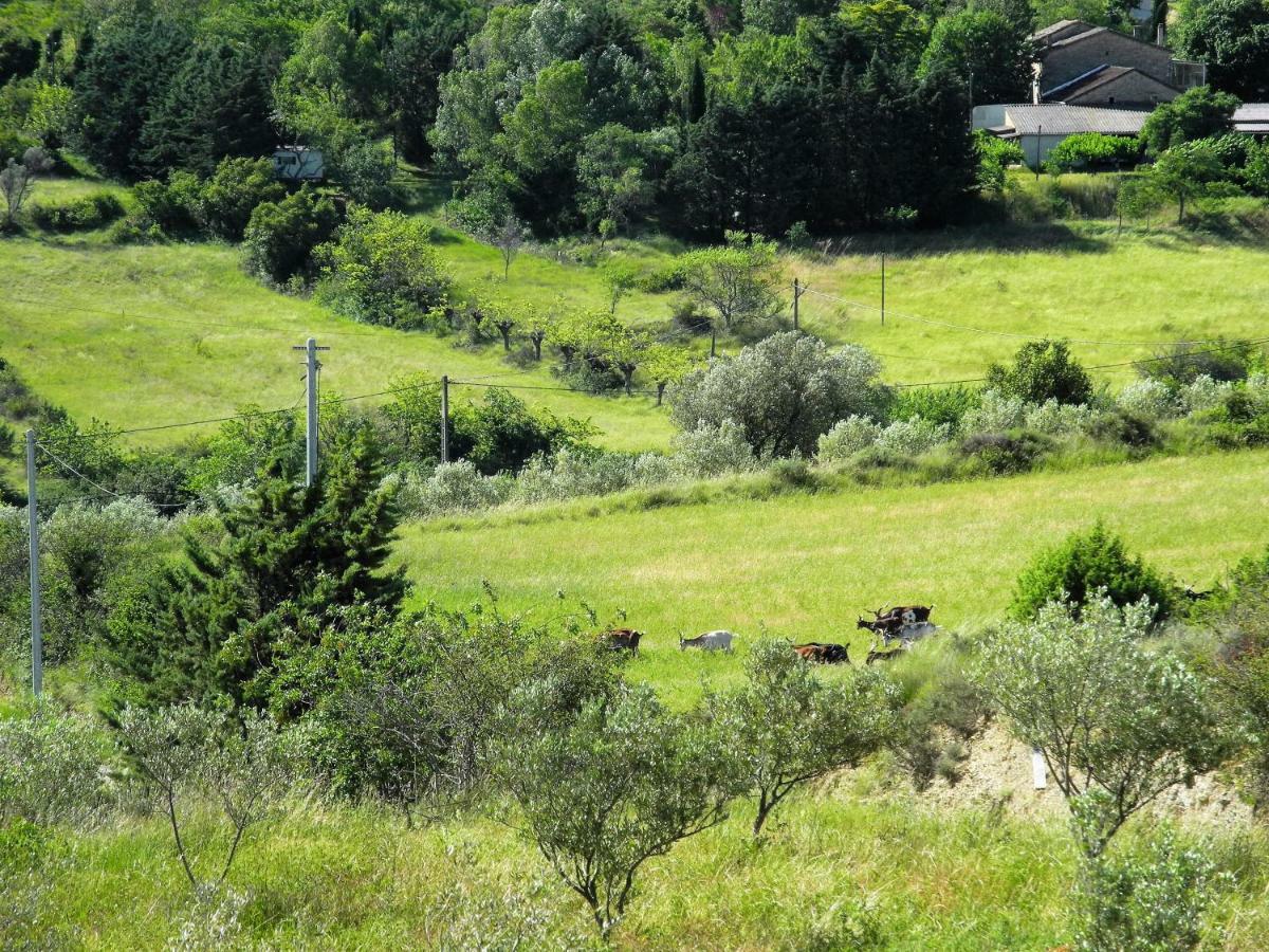 Pontet-Fronzele Agrotourisme Ecologique, Maison D'Hotes & Spa Lagorce  Luaran gambar